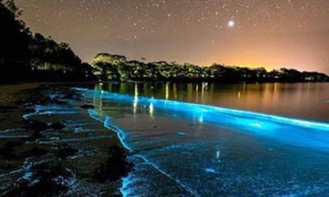 Bãi biển Australia rực sáng về đêm